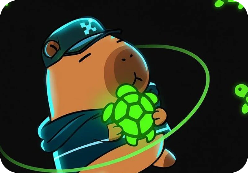 Turtle x Kaito